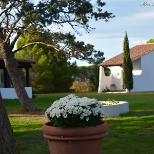 Mas Mls Les Saintes-Maries-de-la-Mer